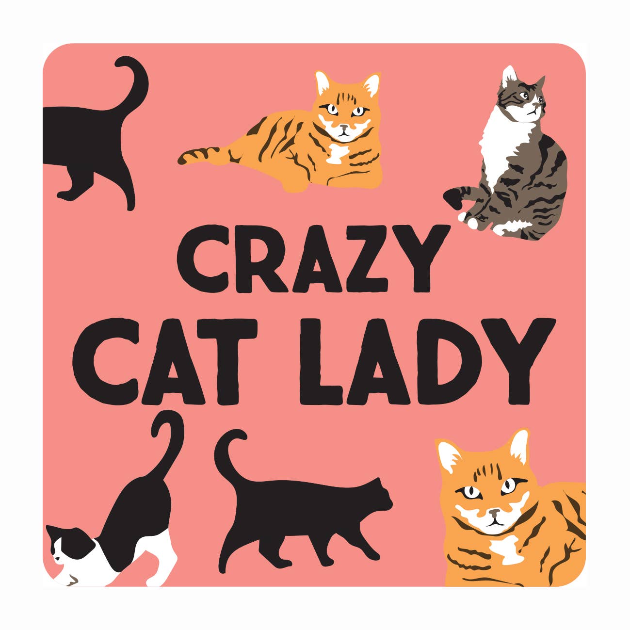 Crazy Cat Lady Socks and Coaster Bundle