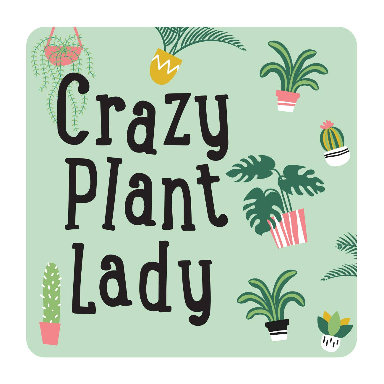 Crazy Plant Lady Socks and Coaster Bundle
