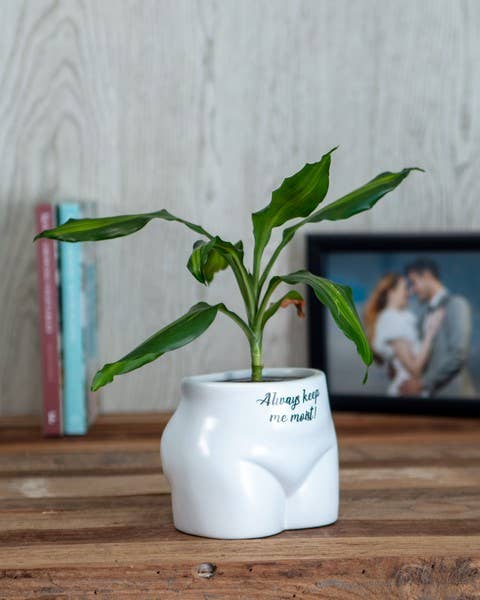 Always Keep Me Moist Plant pot