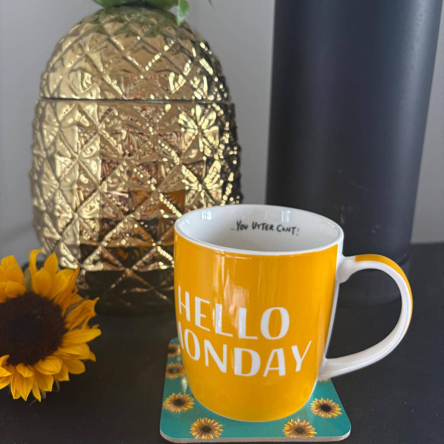 Hello Monday ... You Utter C*nt! - Brutally Honest Mugs