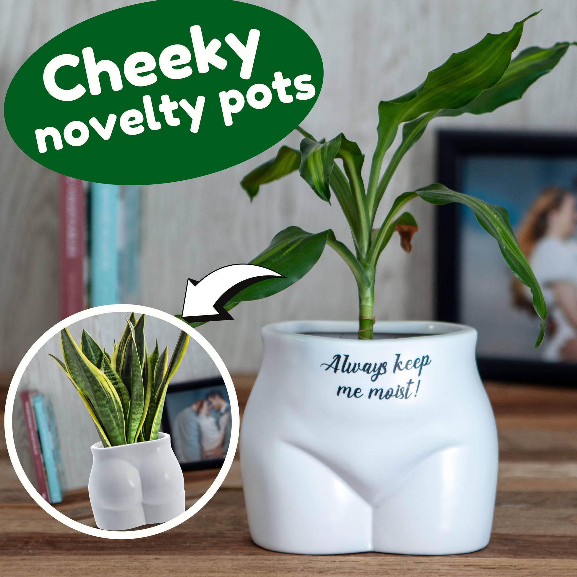 Novelty pot shaped like a但这