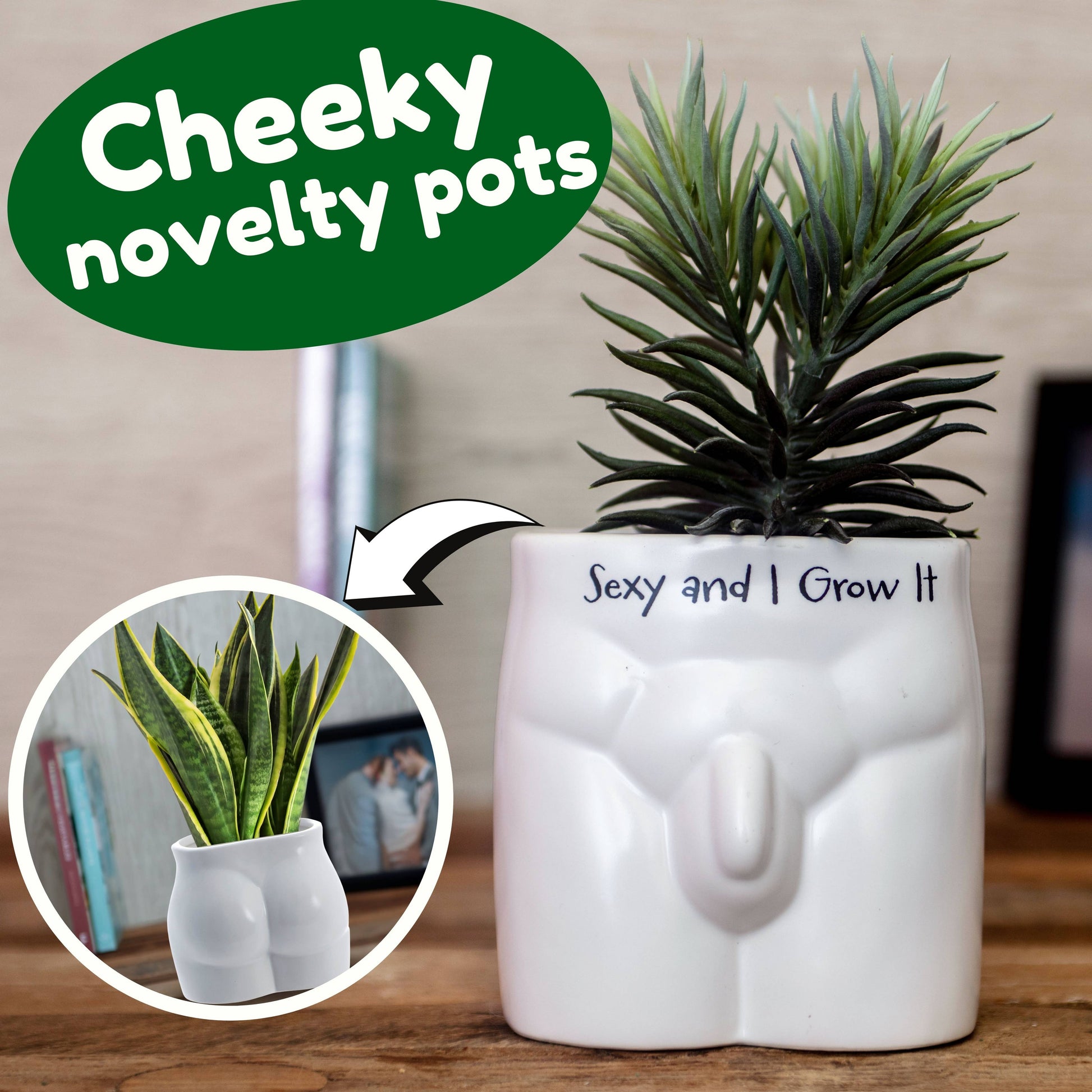 Novelty plant pot shaped like a person's genitals. pot reads sexy and I grow it