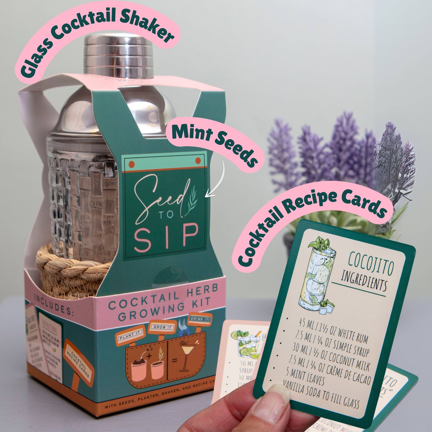 Seed to Sip Grow Your Own Cocktails Gift Set