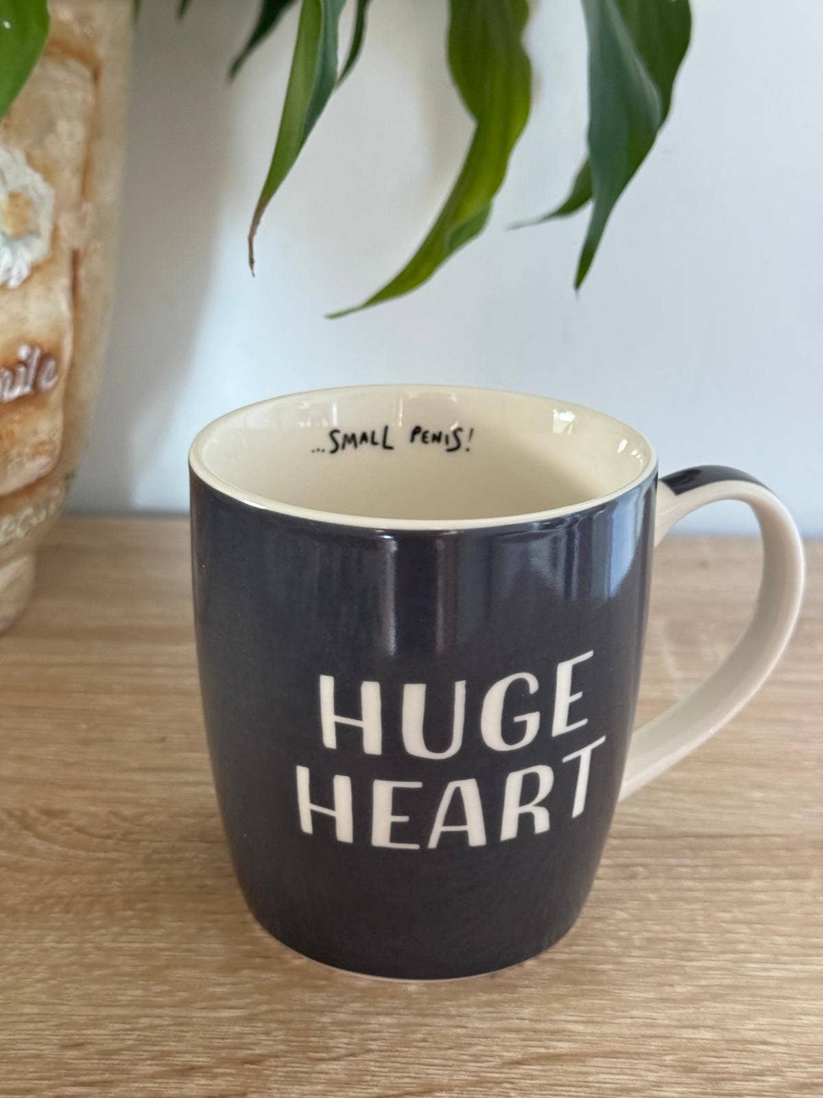 New Home ...Mortgaged up to the Tits! - Brutally Honest Mugs