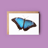 Notelet - Butterfly